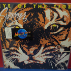 SURVIVOR - EYE OF THE TIGER UK-82 EX+/EX+ LP - pikkukuva 1