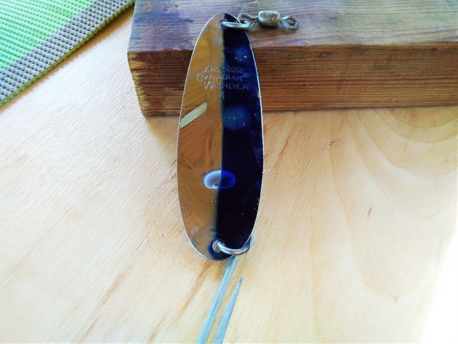 Les Davis  Canadian Wonder 4 vetopelti 7,5cm