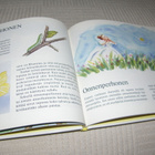 Lasten pikkueläinkirja 2 - pikkukuva 4