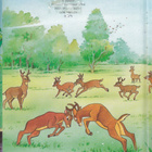 Lasten oma kirjakerho: Bambi (Disney) - pikkukuva 2