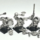 WHFB - Black Orc Command Group [B5] - pikkukuva 1