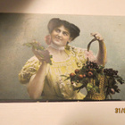 NEITO JA KUKKAKORI 1911 KULKENUT KORTTI - pikkukuva 1