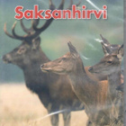 Metsästys & Eräelämä - Saksanhirvi (DVD) - pikkukuva 1