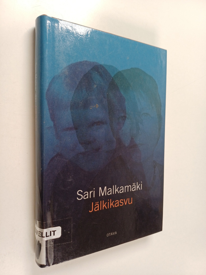 Sari Malkamäki : Jälkikasvu : novelleja