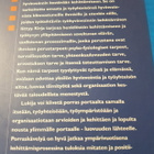 Päivi Rauramo: Työhyvinvoinnin portaat - pikkukuva 2