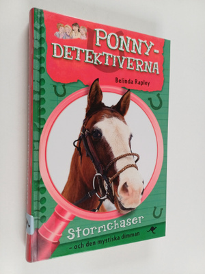 Belinda Rapley : Stormchaser - och den mystiska dimman