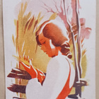 Poika Vesanto: Nuori neito tarkastelee viljaa, Kenttäp. 1943 - pikkukuva 1