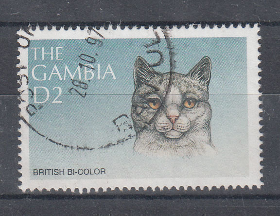 KISSA aihetta GAMBIA