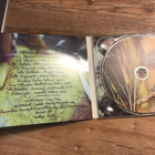 Yona & Orkesteri . Vaikka tekee kipeää ei haittaa CD - pikkukuva 2
