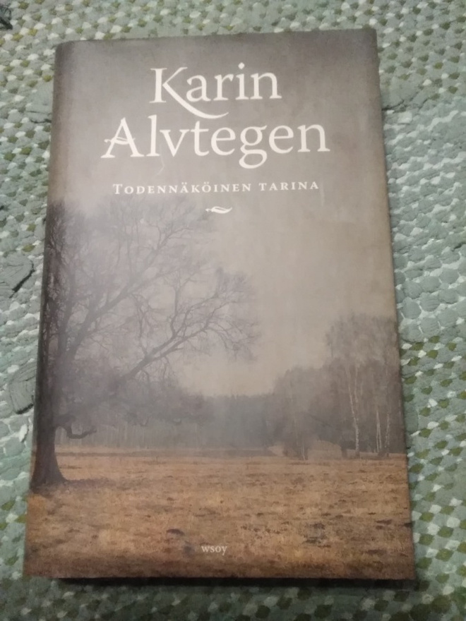 Karin Alvtegen: Todennäköinen tarina