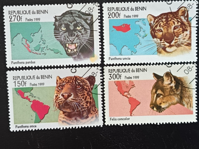 Benin Kissaeläimiä