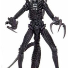 ALIENS RAZOR CLAWS ALIEN	(73 795)	n.23cm.	FIGUURI - pikkukuva 2