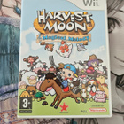 Harvest Moon: Magical Melody (Wii) - pikkukuva 1