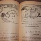 E. N. Setälä - Vähäinen Suomalainen lukukirja - pikkukuva 1