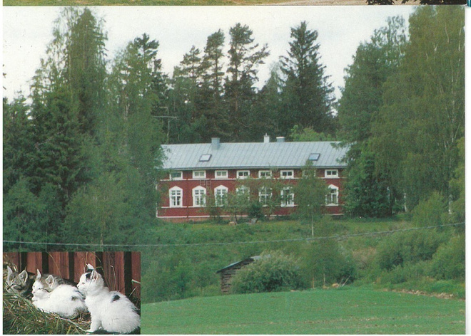 Virrat Vaskivesi Matkailumaatila Savilahti kissat