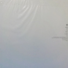 DOMINGÆ - Æ - US 2021 WHITE VINYL 12" EP - pikkukuva 2
