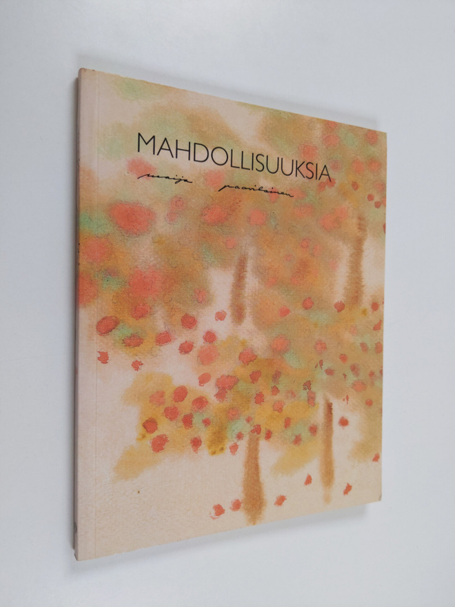 Maija Paavilainen : Mahdollisuuksia