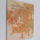 Maija Paavilainen : Mahdollisuuksia - pikkukuva 1