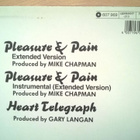 Divinyls - Pleasure & Pain 12" - pikkukuva 3