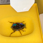 Swarovski 5668994 SCS 2024 PWP/GWP Beetle (2024-2024) - pikkukuva 3