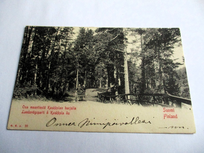 Tammela Kaukkolan harjulla np n 1900