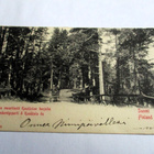 Tammela Kaukkolan harjulla np n 1900 - pikkukuva 1