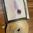 The Gathering / nighttime birds CD - pikkukuva 1