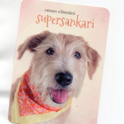°°OMAN ELÄMÄNI SUPERSANKARI°° -KORTTI /Paletti,AM.West - pikkukuva 1