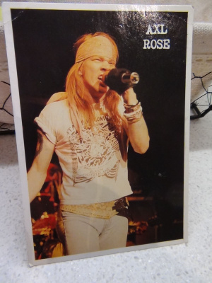 AXL ROSE KORTTI