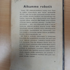 Rolf Strehl: Aikamme robotit, 1.p - pikkukuva 2