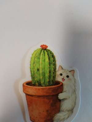 Kissa tarra.