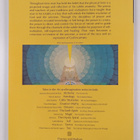 David V. Tansley : Subtle body : essence and shadow - pikkukuva 2