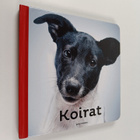 Koirat - pikkukuva 1