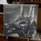 COFFIN TEXTS - GODS OF CREATION, DEATH & AFTERLIFE UUSI 12" - pikkukuva 2