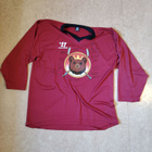 Jääkiekko keräily Gameworn - pikkukuva 1
