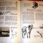 Kirjaimesta kuvaan / Piirustuksenopetus ABC-menetelmän mukaa - pikkukuva 3