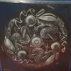 MASTER'S  HAMMER - VAGUS VETUS M-/M- LP - pikkukuva 2