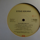STEVE KEKANA :: RAISING MY FAMILY :: VINYYLI LP 1981 - pikkukuva 3