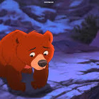 Karhuveljeni Koda 2 - dvd - pikkukuva 4