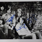 HOLLIES - TONY HICKS (GTR) BOBBY ELLIOTT NIMIKIRJOITUKSET - pikkukuva 2