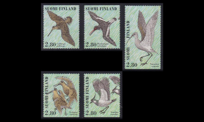 1347-51 ** Kahlaajalintuja (1996)