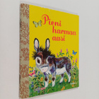 Alice Lunt : Pieni harmaa aasi - pikkukuva 1