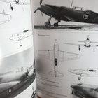 Soviet Combat Aircraft of the Second World War, Vol. 1: Sing - pikkukuva 3