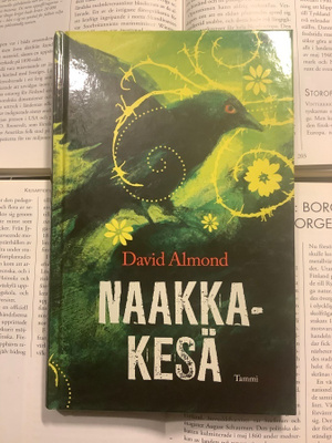 David Almond - Naakkakesä (sid.)