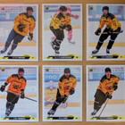 2023-24 Cardset Series 1 SaiPa Team Set 12 korttia (121-132) - pikkukuva 2