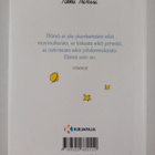 Antoine de Saint-Exupery : Vain sydämellä näkee hyvin : A... - pikkukuva 2