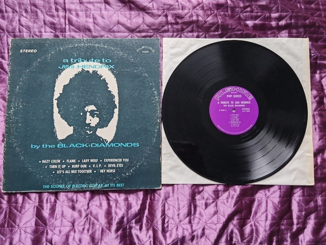 THE BLACK DIAMONDS - A TRIBUTE TO JIMI HENDRIX