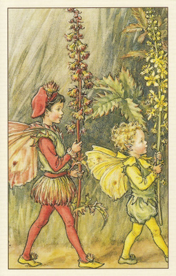 Cicely Mary Barker: Verijuuren keijut
