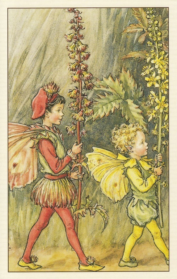 Cicely Mary Barker: Verijuuren keijut