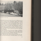 [Färnström]: Sportfiske och fiskevård 1- 2, 1954, ns., K3 + - pikkukuva 5